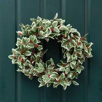Scottish Everlastings Ltd 50cm Holly Wreath in Green