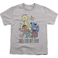Sesame Street Colourful Group T-Shirt in Grey | Size: 3-4 Years
