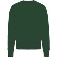 IQONIQ Men's Kruger Cotton Crew Neck Relaxed Fit Sweatshirt in Green | Size: 3XL