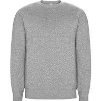 ROLY Men's Batian Crew Neck Sweatshirt in Grey | Size: Medium