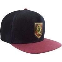 Harry Potter Men's Gryffindor Snapback Cap in Black