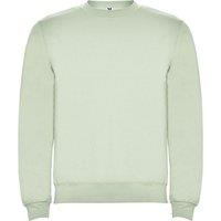 ROLY Men's Clasica Crew Neck Sweatshirt in Light Green | Size: Large