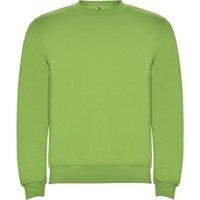 ROLY Men's Clasica Crew Neck Sweatshirt in Green | Size: XS