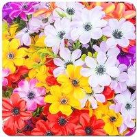 Warren Reed - Designer Spring Flowers Coasters - Set of 4 in Yellow