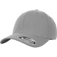 Flexfit Men's Pro-Formance Cap in Grey