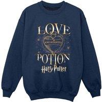 Harry Potter Boy's Love Potion Sweatshirt in Navy | Size: 3-4 Years