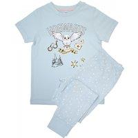 Harry Potter Girl's Hedwig Hogwarts Short-Sleeved Long Pyjama Set in Baby Blue | Size: 3-4 Years