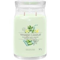 Yankee Candle Women's Signature Large Jar Cucumber Mint Cooler in Green