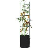 Berkfield Home Tomato Cage with Plant Bag 2 pcs 154 cm Steel & PP in Green