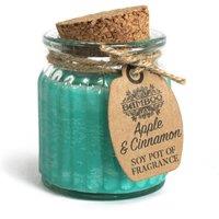 KDMD Apple & Cinnamon Soy Pot of Fragrance Candles - (Set of 2) in Teal