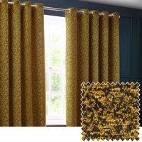 Paoletti Galaxy Velvet Chenille Eyelet Curtain Pair in Gold | Size: 229 cm width x 137 cm drop