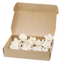 KDMD Natural Diffuser Flowers - Small Lily on String - (Set of 12) in Cream
