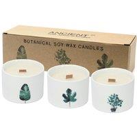 KDMD Med Botanical Candles - Mullberry Harvest in White