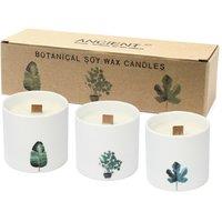 KDMD Large Botanical Candles - Victorian Peony in White