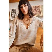 HOXTON GAL Women's Slim Fit Lace-Collar Knit Blouse in Stone