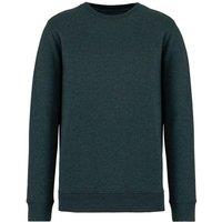 Native Spirit Men's Crew Neck Sweatshirt in Dark Green | Size: XL