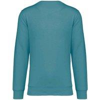 Native Spirit Men's Crew Neck Sweatshirt in Duck Egg Blue | Size: 2XS