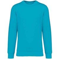 Native Spirit Men's Crew Neck Sweatshirt in Turquoise | Size: 2XS