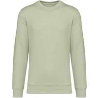 Native Spirit Men's Crew Neck Sweatshirt in Green | Size: 3XL