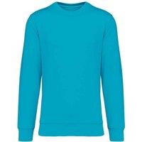 Native Spirit Men's Crew Neck Sweatshirt in Turquoise | Size: Large