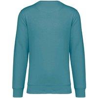 Native Spirit Men's Crew Neck Sweatshirt in Duck Egg Blue | Size: 3XL