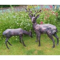 Inspirational Gifting Stag & Doe Deer Set our Largest Garden Sculptures - Hand Cast in Aluminium in Bronze