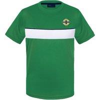 Northern Ireland Men's Adults Poly T-Shirt in Green | Size: Small