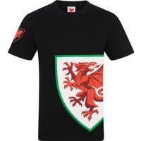 FA Wales 