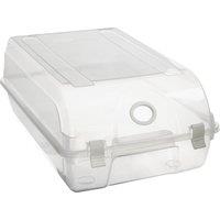 Orsina Tavia Shoe Box in Clear