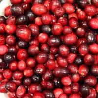 Plant Theory Cranberry Pilgrim Fruit Bush Vaccinium Fruiting Berry Shrub Plant 3L Pot in Green