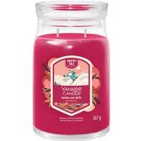 Yankee Candle Women's Signature Large Jar Santa On Skis