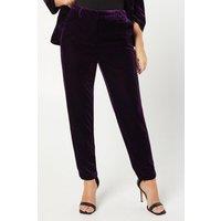 Dorothy Perkins Women's Velvet Tailored Trouser in Midnight Purple | Size: 8