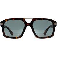 Police Men's Square Shiny Dark Havana Grey Green SPLP28M Forty 1 in Brown