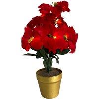 mysmartbuy Artificial LED Red Poinsettia Plant in Gold Pot - Faux Realistic Floral Home Christmas Decoration with 10 Lights - H35 x 28cm