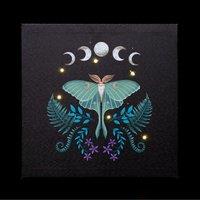 KDMD Luna Moth Light Up Canvas Plaque in Light Blue
