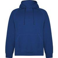ROLY Men's Vinson Hoodie in Blue | Size: Small