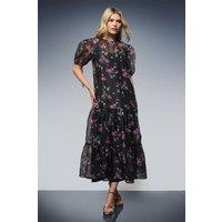 Dorothy Perkins Women's DP Luxe Printed Organza Tiered Midaxi Dress in Black | Size: 12