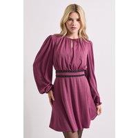 Dorothy Perkins Women's Stud Detail Waist Jersey Mini Dress in Berry | Size: 14