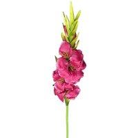 Leaf 115cm Artificial Pink Gladioli Stem