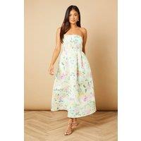 Oasis Women's Petite Occasion Floral Twill Strapless Mini Dress in Lilac | Size: 14