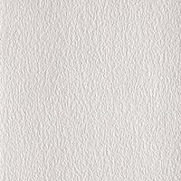 Anaglypta Lace Bark Precision Embossed Paintable Textured Wallpaper in White
