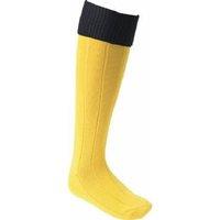 Euro Men's Football Socks in Gold | Size: 7-11