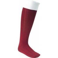 Euro Men's Football Socks in Maroon | Size: 7-11