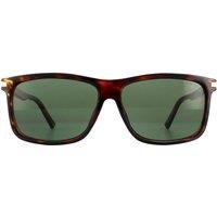 Polaroid Men's Rectangle Dark Havana Green Polarized Sunglasses in Brown