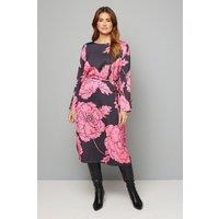 Wallis Women's Floral Print Belted Column Dress in Pink | Size: 14