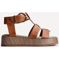 Linzi Women's Tori Tan Gladiator Flatform Sandals | Size: 7-Standard Fit