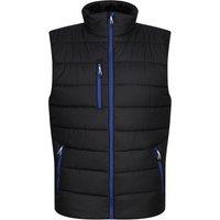 Regatta Professional Men's Thermal Body Warmer in Baby Blue | Size: XL