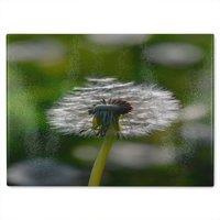 Benjamin Tate Design fluffy flower Designer Glass Chopping Board in Natural