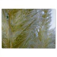 Benjamin Tate Design Autumn pampas grass close up Designer Glass Chopping Board in Natural