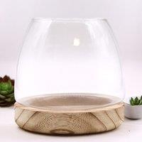 KDMD Medium Terarium on Natural Tung Wood in Brown